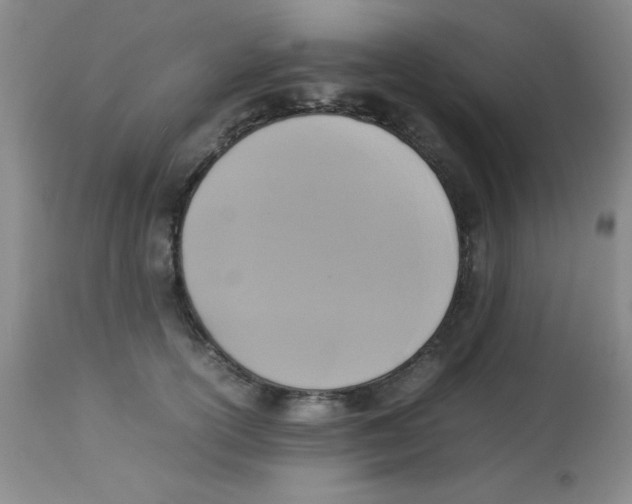 X0000113950754200910232006