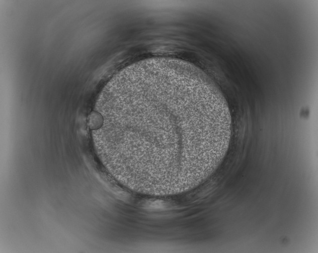 X0000113950755200910232006