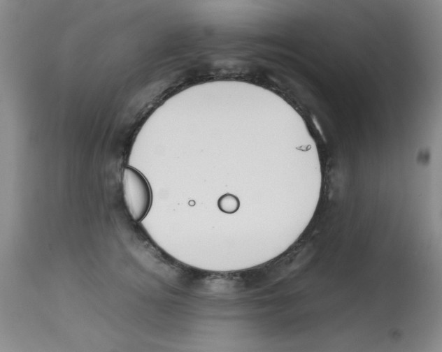 X0000113950756200910232006