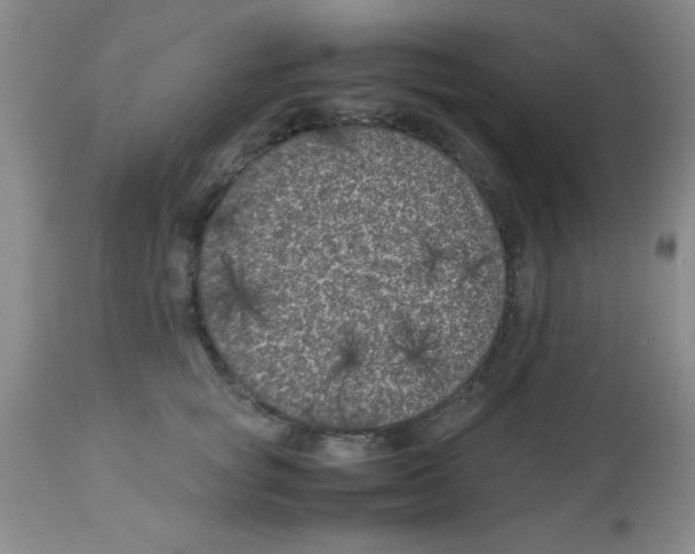 X0000113950757200910232006