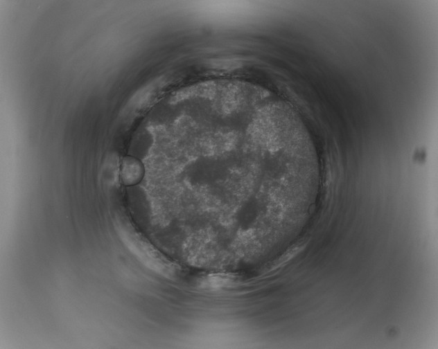 X0000113950758200910232006