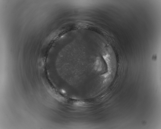 X0000113950759200910232006