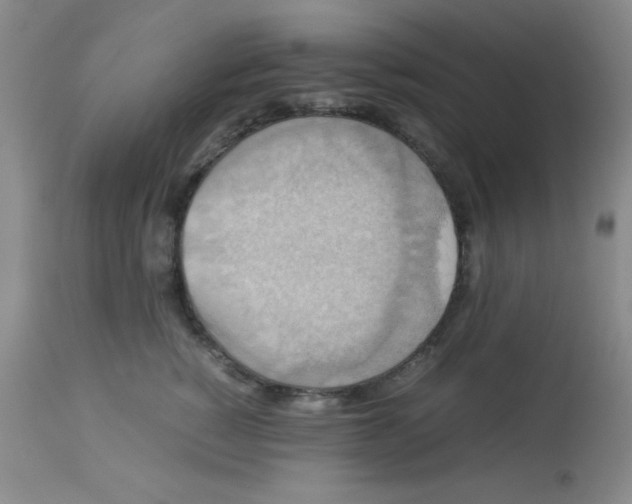 X0000113950760200910232006