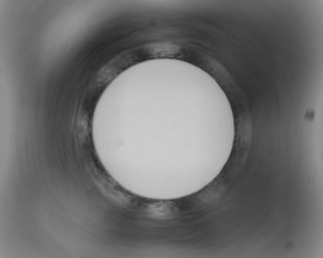 X0000113950761200910232006