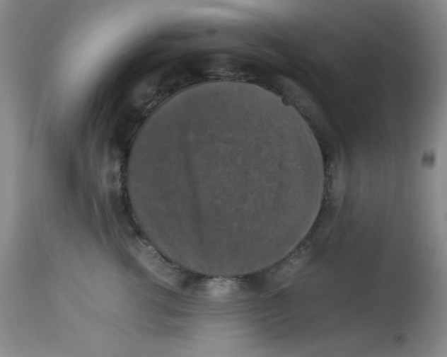 X0000113950762200910232006