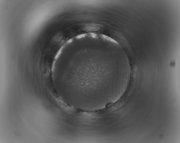 X0000113950763200910232006