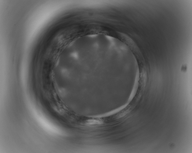 X0000113950765200910232006