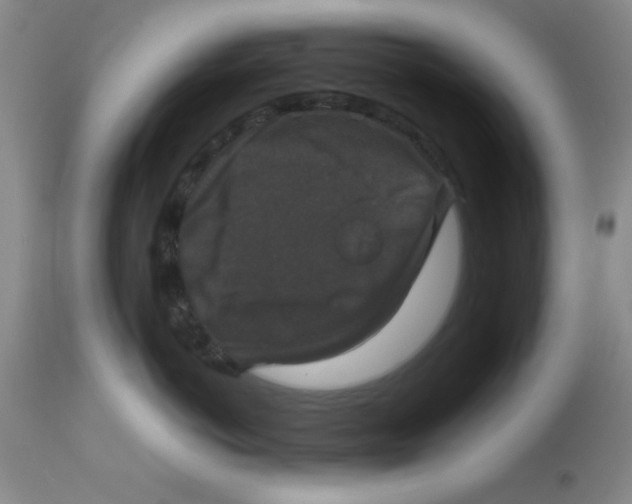 X0000113950766200910232006