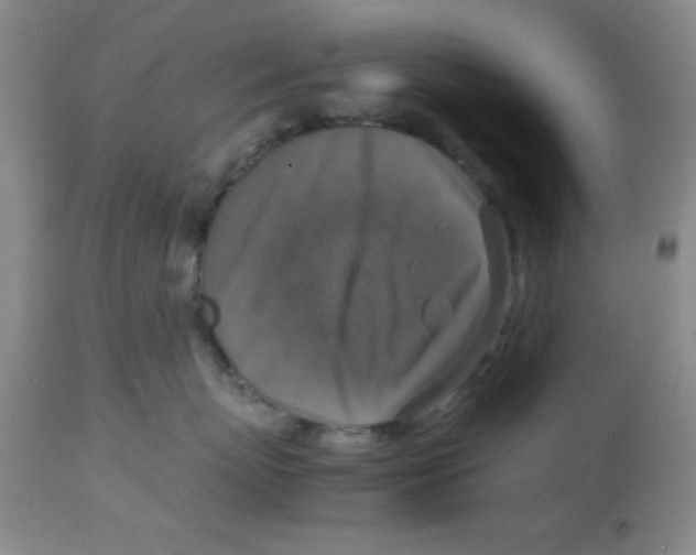 X0000113950767200910232006