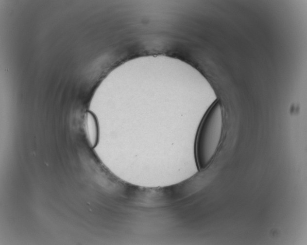 X0000113950768200910232006