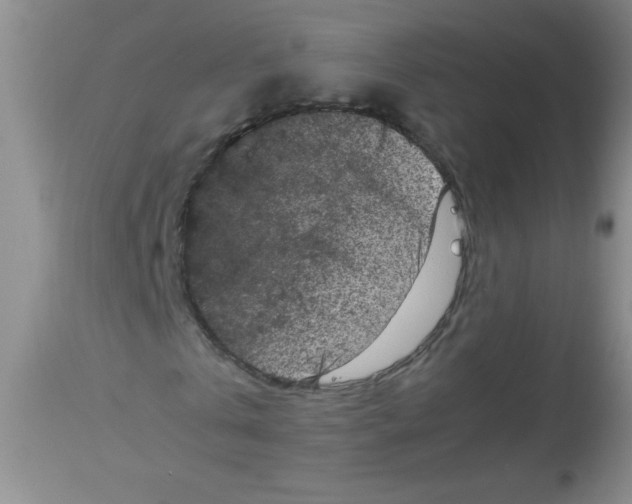 X0000113950769200910232006