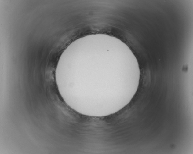 X0000113950770200910232005
