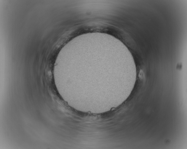 X0000113950771200910232005