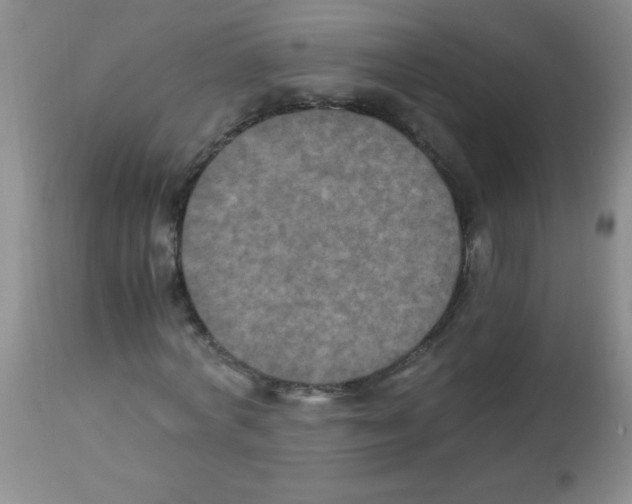 X0000113950772200910232005