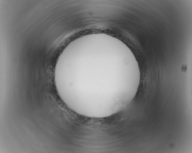 X0000113950773200910232005