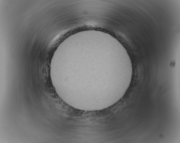 X0000113950776200910232005
