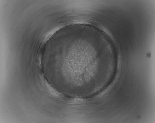 X0000113950777200910232005