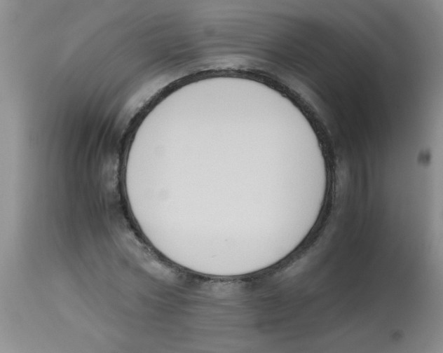 X0000113950778200910232005