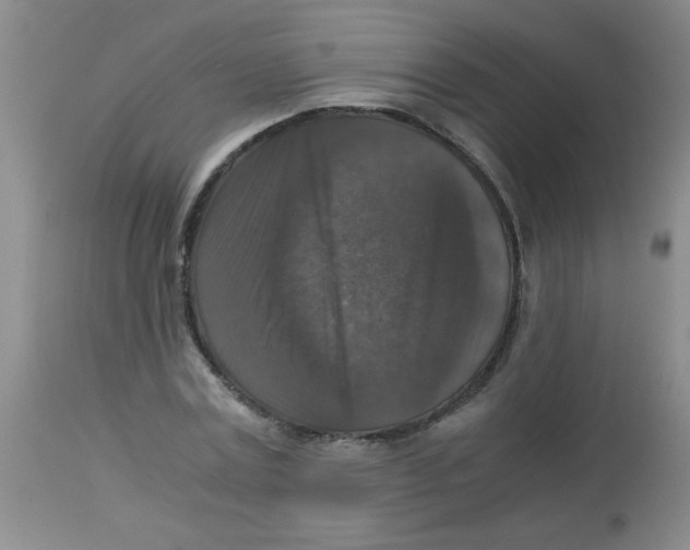 X0000113950779200910232005