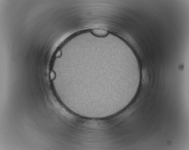 X0000113950780200910232005