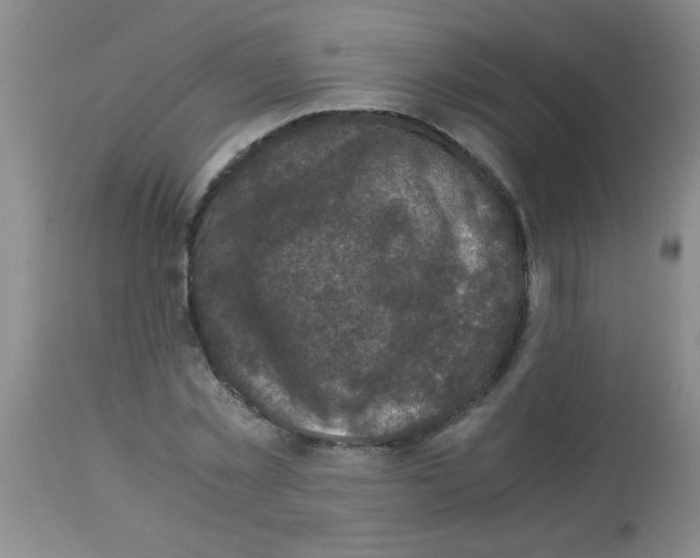 X0000113950781200910232005