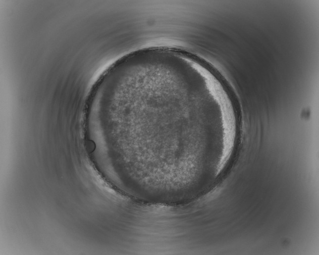 X0000113950783200910232005