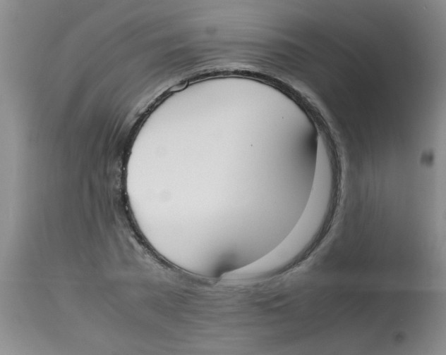 X0000113950785200910232005