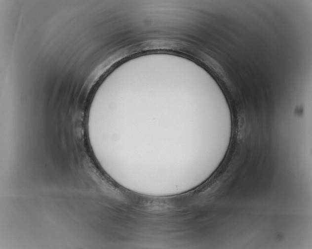 X0000113950786200910232005