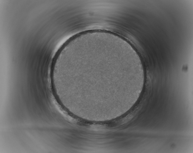 X0000113950788200910232005