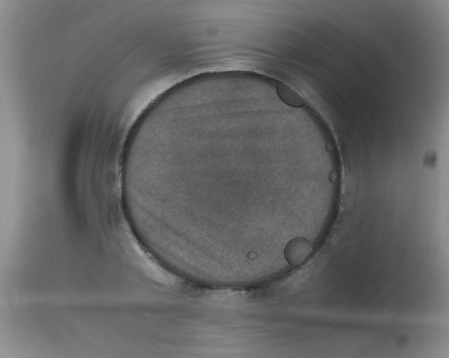 X0000113950789200910232005