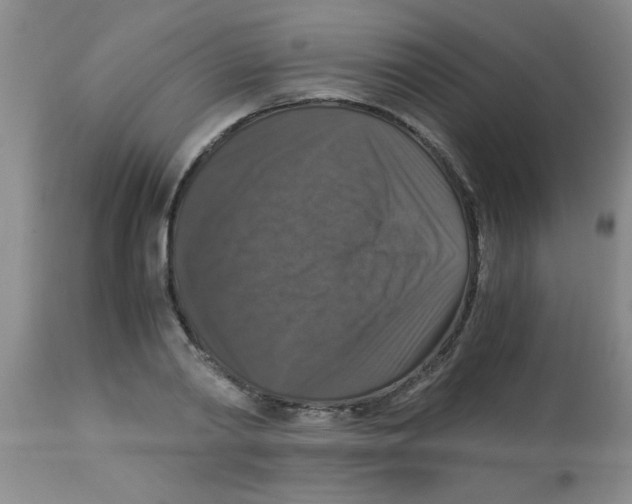X0000113950790200910232005