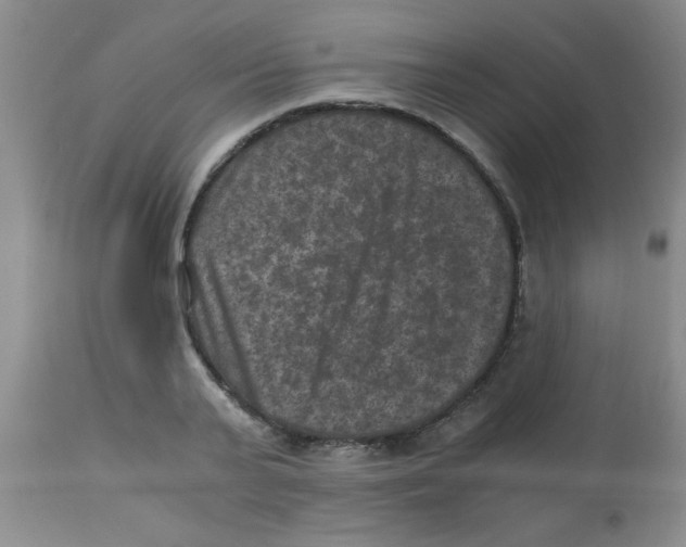 X0000113950791200910232005