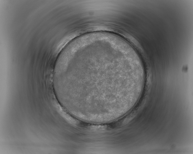 X0000113950793200910232005