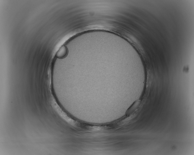 X0000113950796200910232005