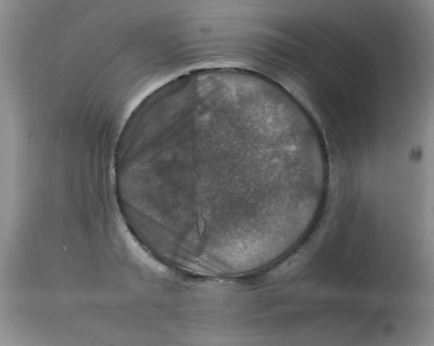 X0000113950797200910232005