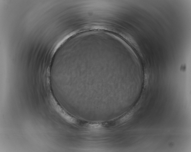 X0000113950798200910232005