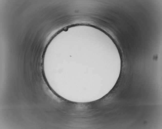 X0000113950799200910232005