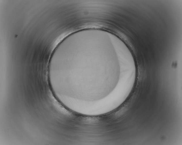 X0000113950802200910232005