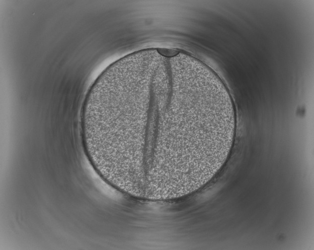 X0000113950803200910232005
