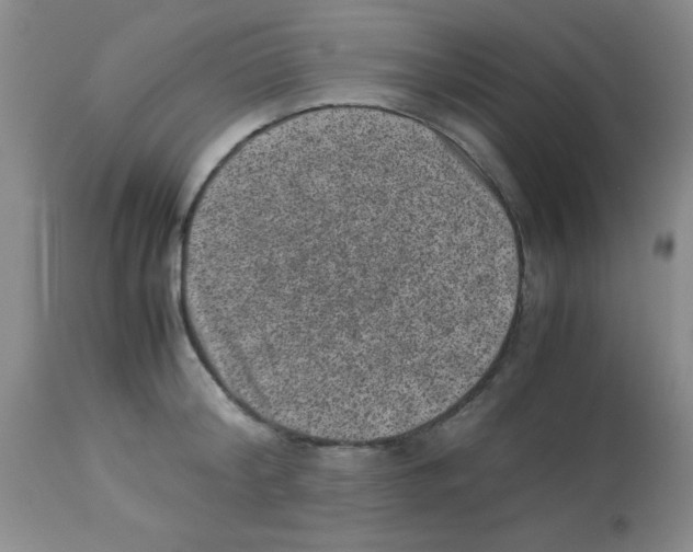 X0000113950804200910232005
