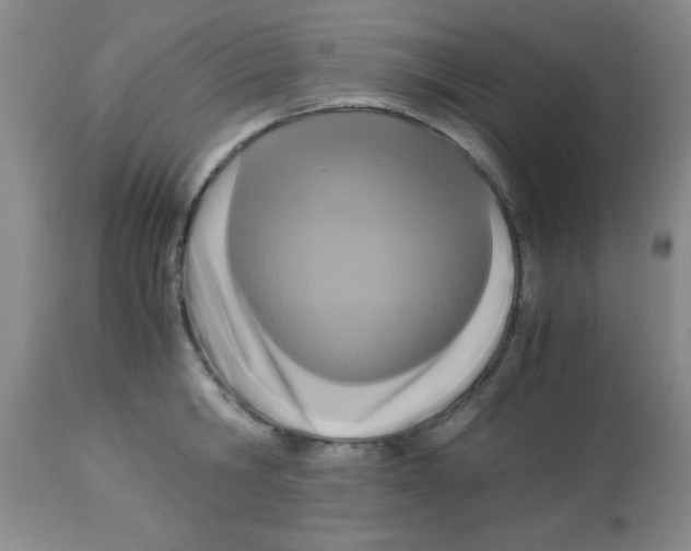 X0000113950806200910232005