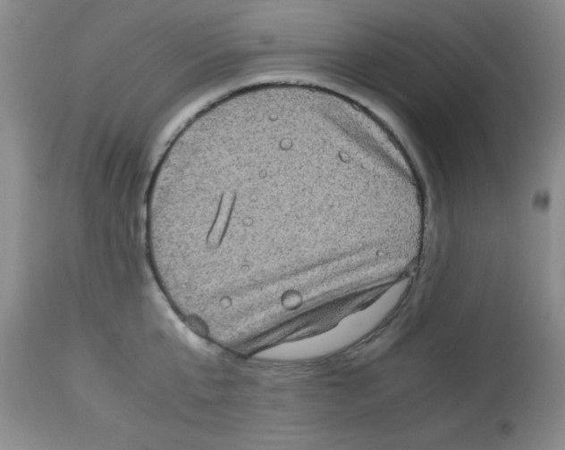 X0000113950807200910232005