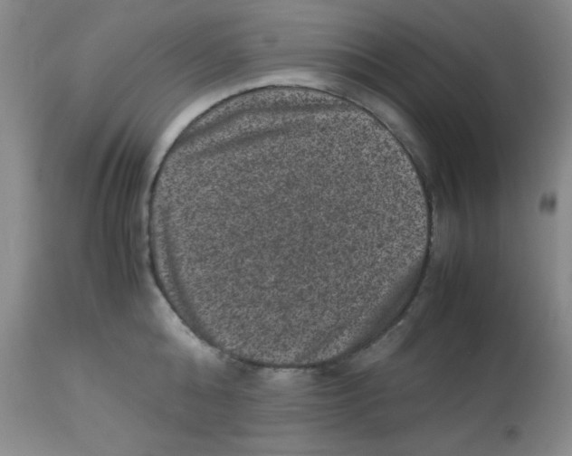 X0000113950808200910232005