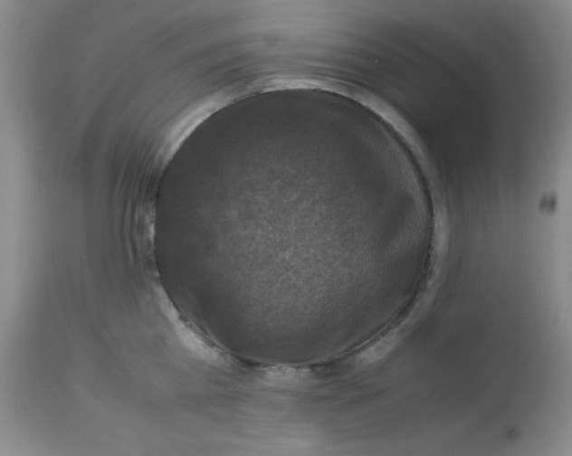 X0000113950809200910232005