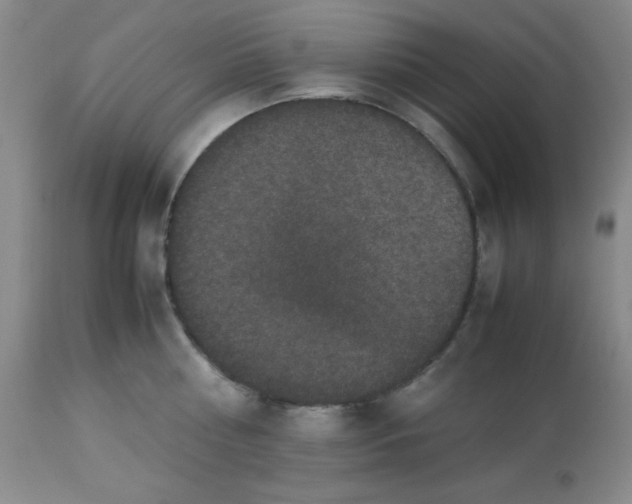 X0000113950810200910232005
