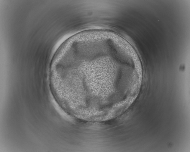 X0000113950811200910232005