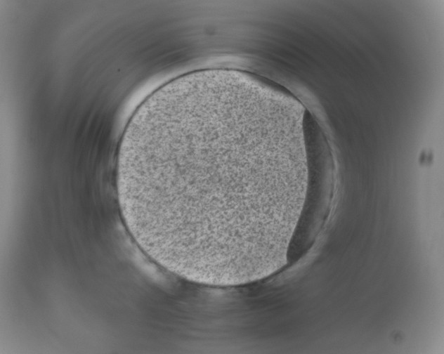 X0000113950816200910232005