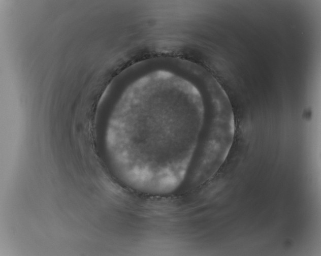 X0000113950817200910232004