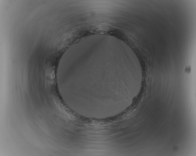 X0000113950818200910232004