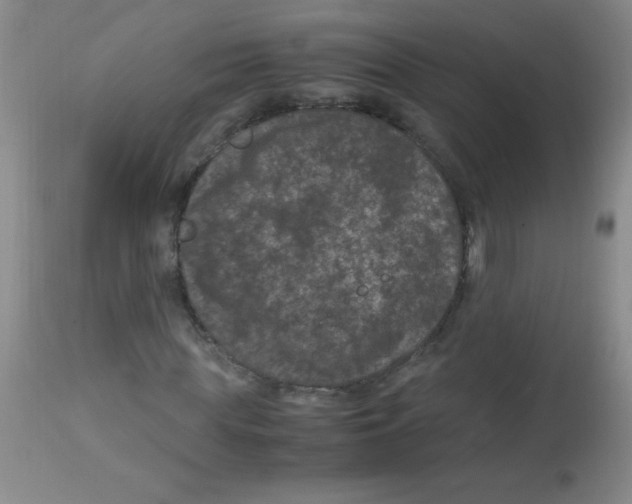 X0000113950819200910232004